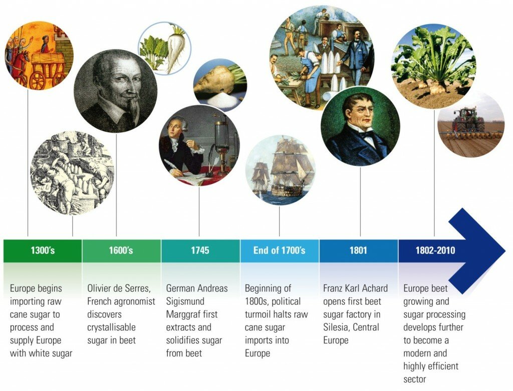 History of sugar History of sugar